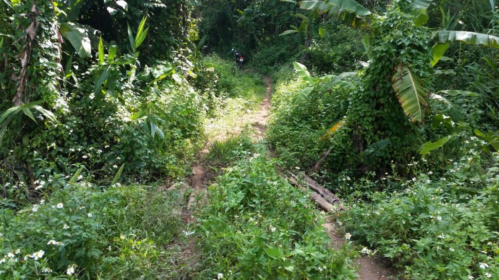 2017-06-02 15.09.00.jpg