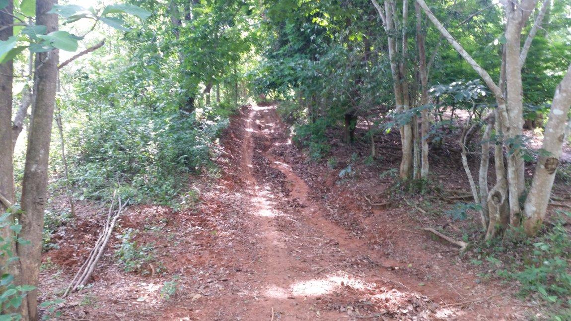 2017-06-02 15.12.47.jpg