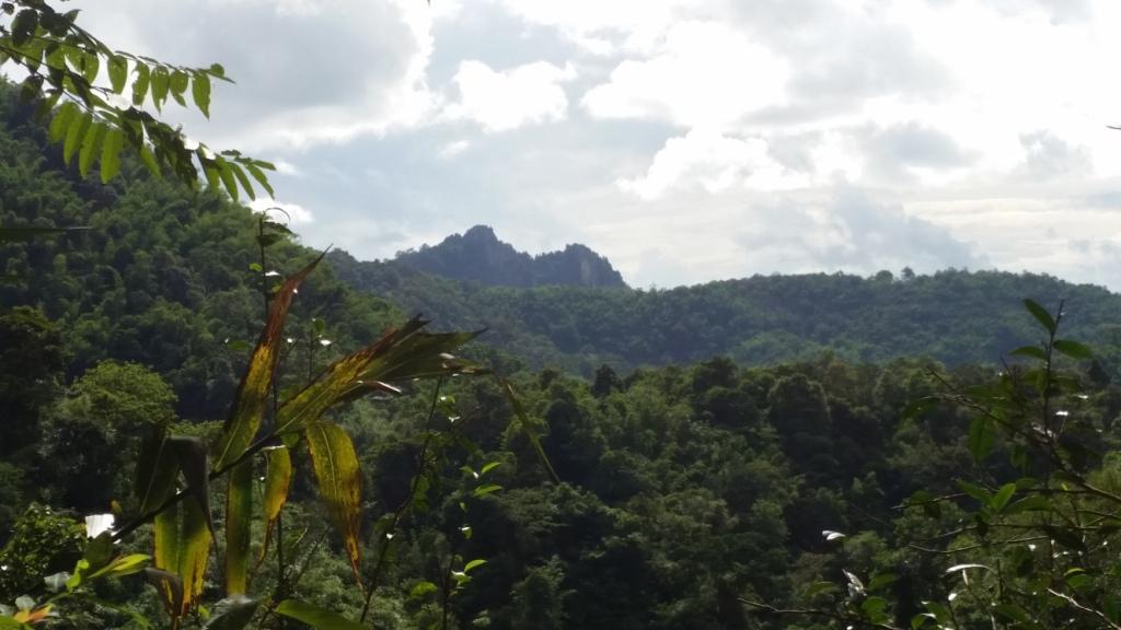 2017-07-06 16.02.29.jpg