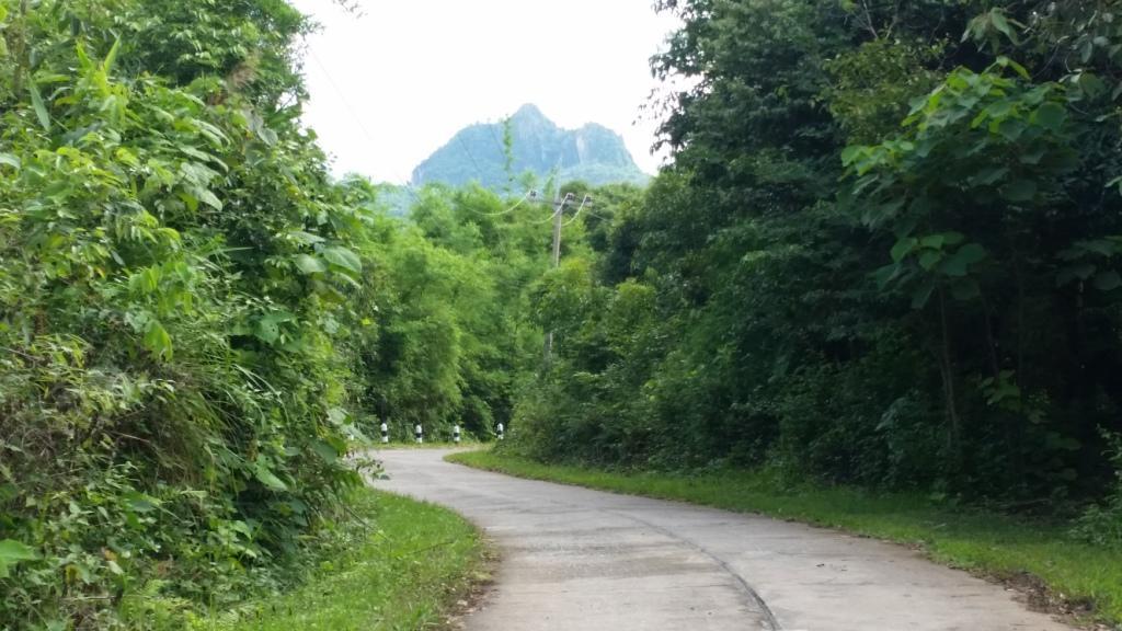 2017-07-06 16.17.06.jpg