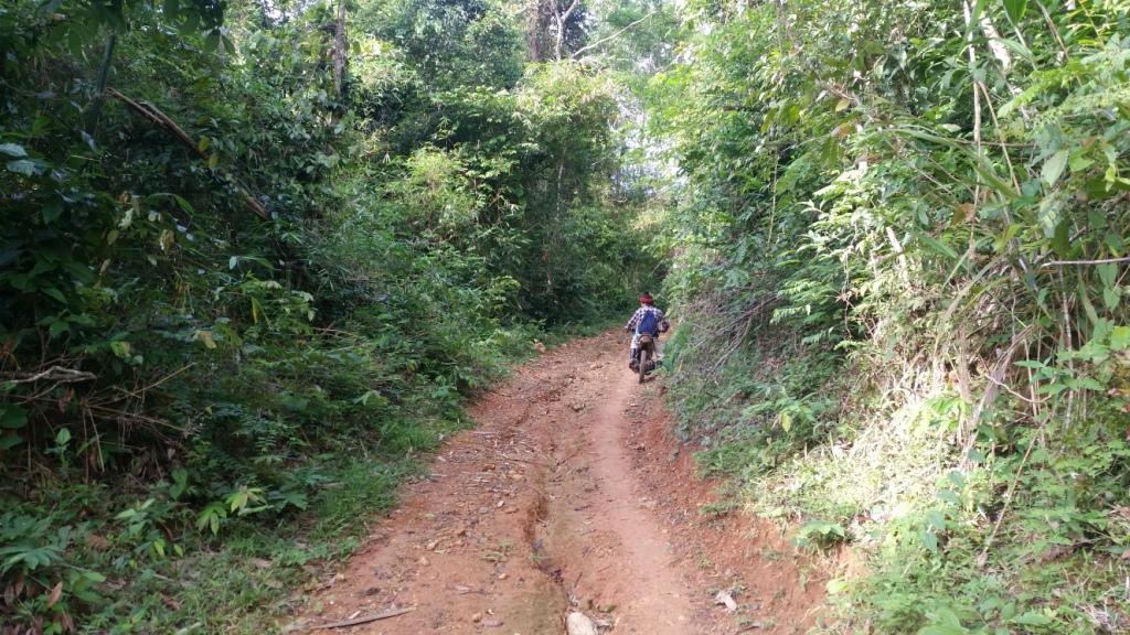 2017-07-07 07.36.56.jpg