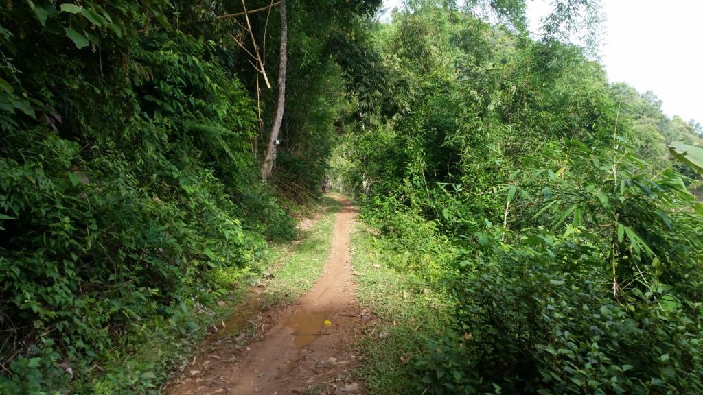 2017-07-07 07.40.48.jpg