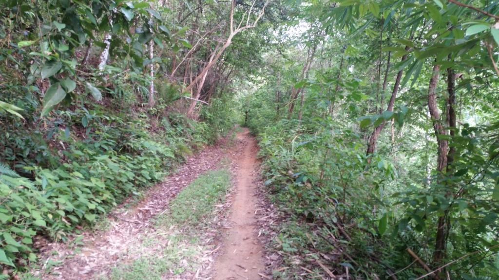 2017-07-07 07.48.15.jpg