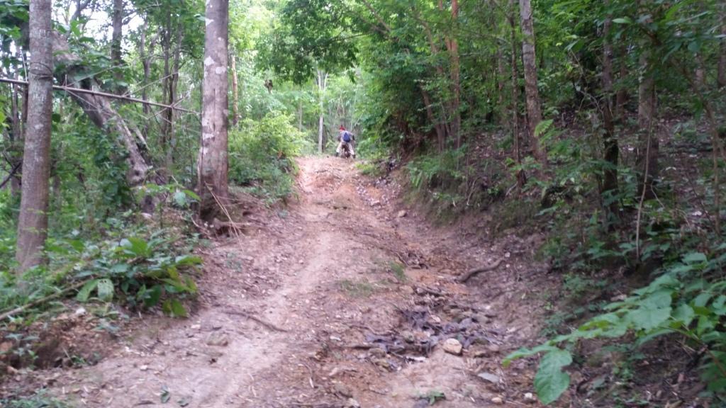 2017-07-07 07.53.52.jpg