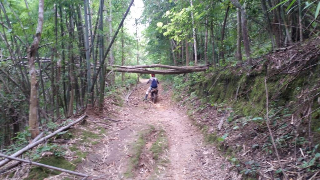 2017-07-07 07.54.40.jpg