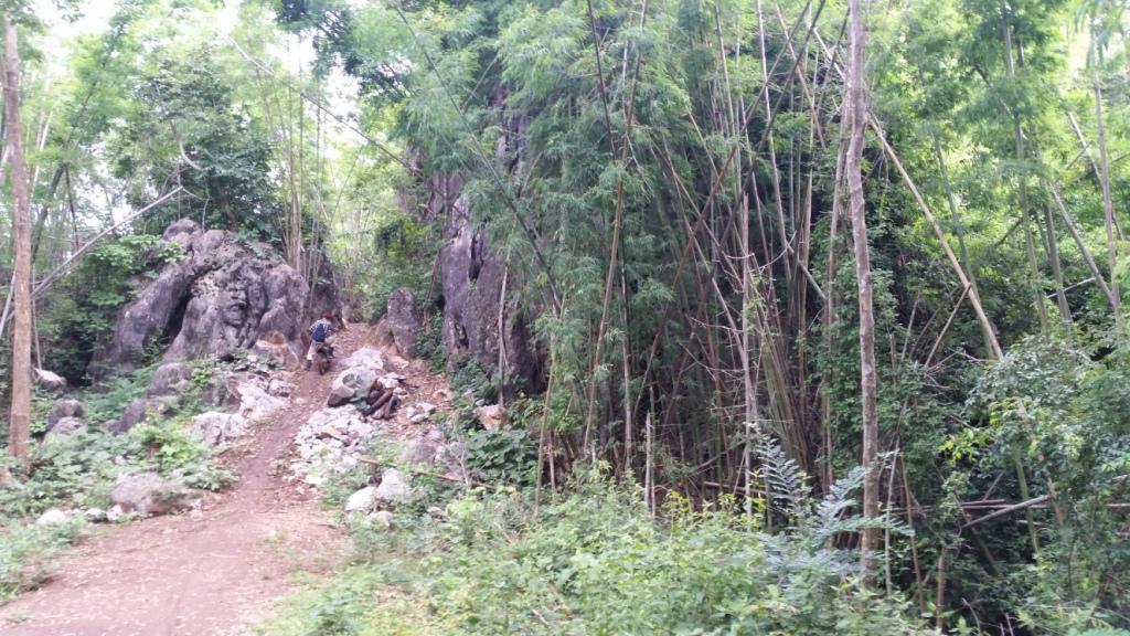 2017-07-07 07.56.57.jpg