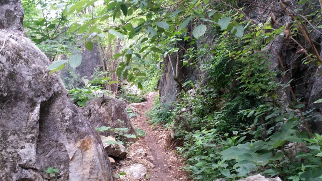 2017-07-07 07.58.41.jpg