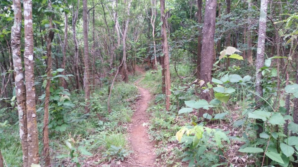 2017-07-07 08.01.09.jpg