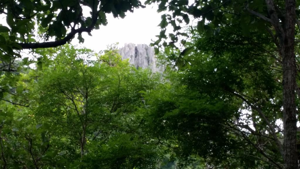 2017-07-07 08.04.03.jpg