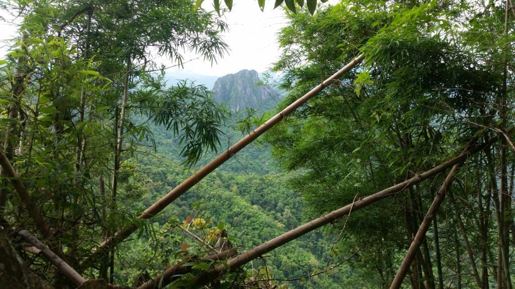 2017-07-07 08.22.33.jpg