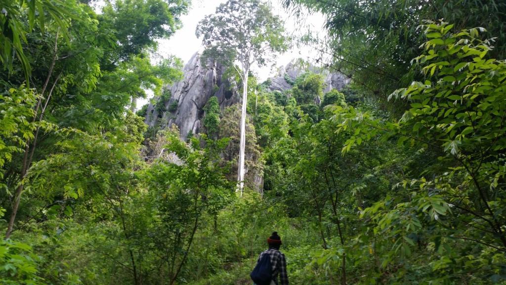 2017-07-07 08.27.34.jpg