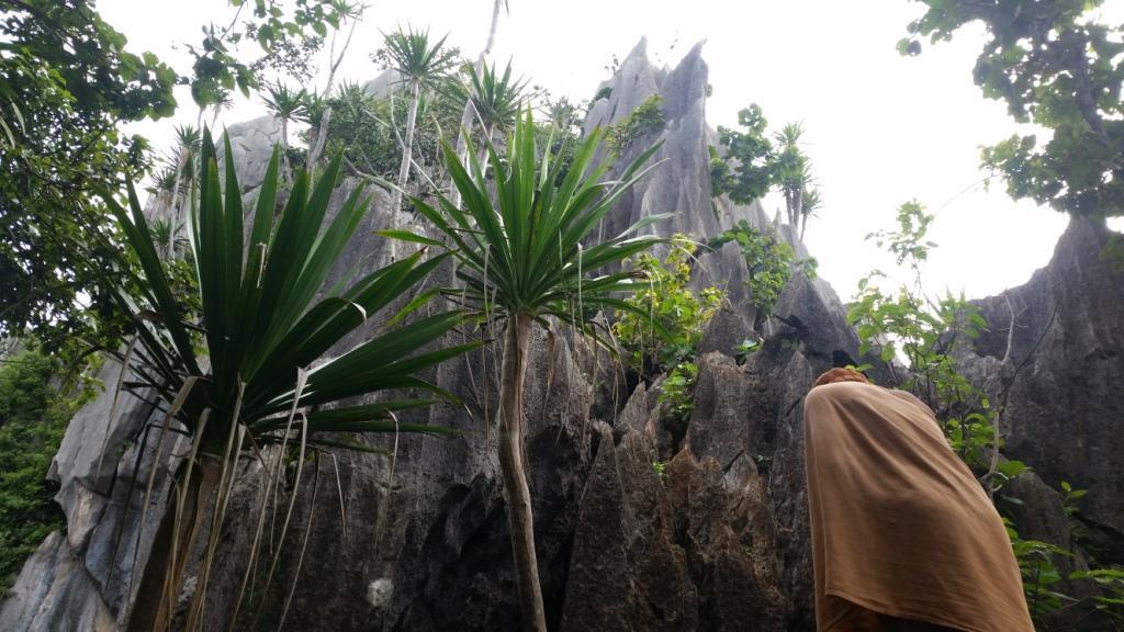 2017-07-07 08.40.14.jpg