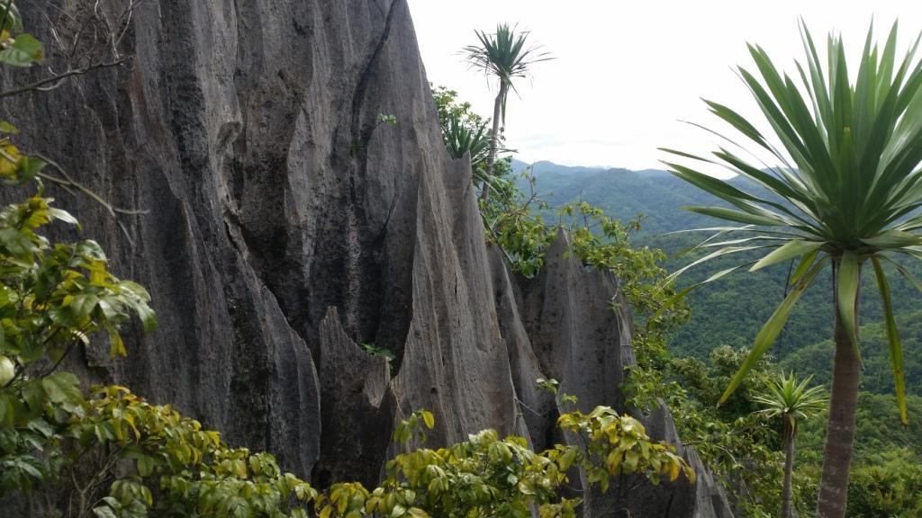 2017-07-07 08.41.11.jpg