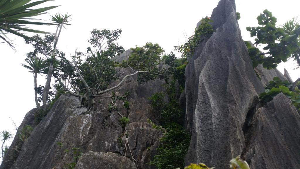 2017-07-07 08.41.13.jpg