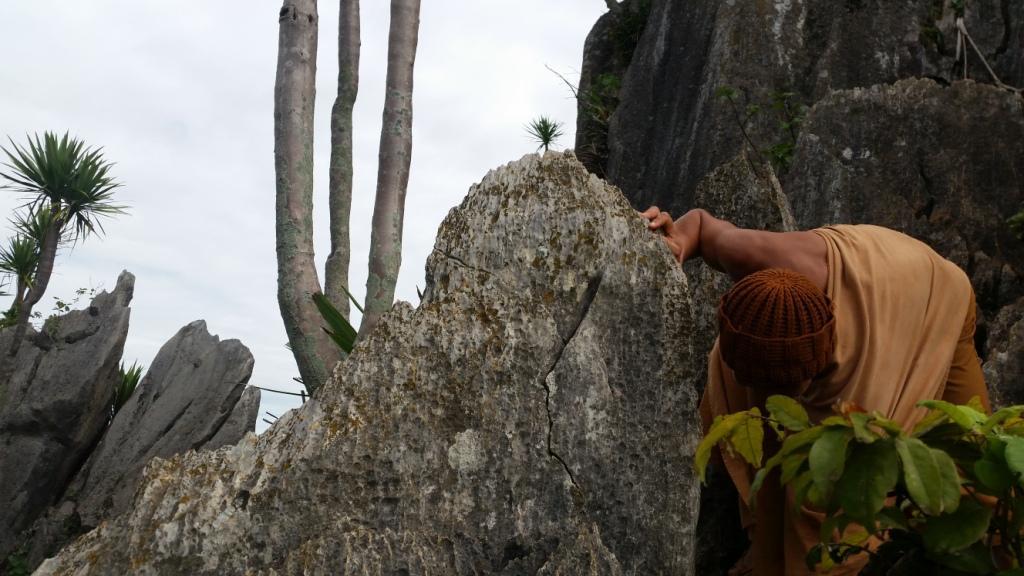 2017-07-07 08.41.16.jpg