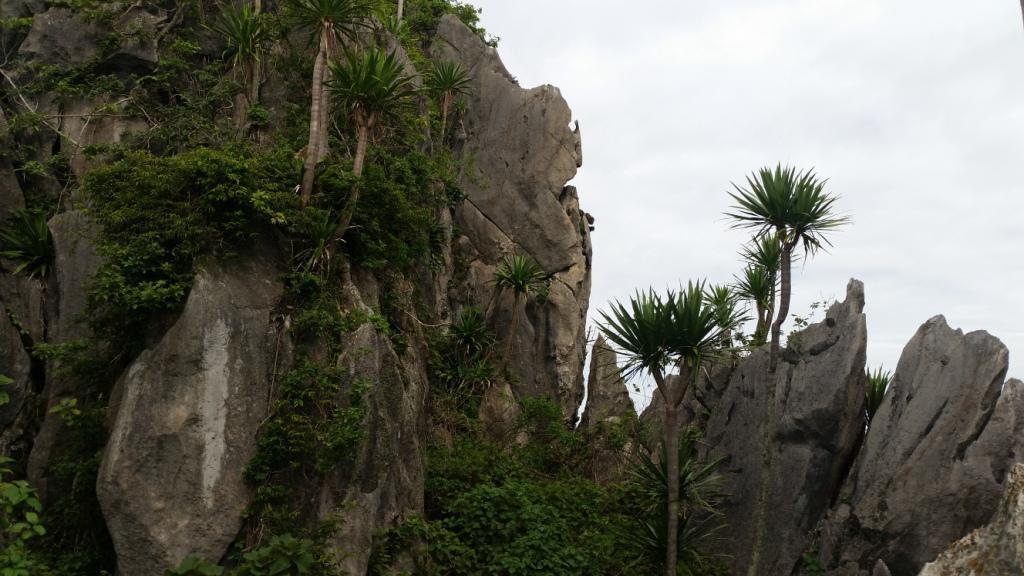 2017-07-07 08.41.21.jpg