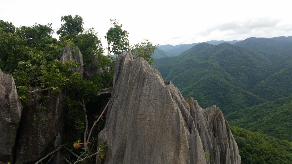 2017-07-07 08.52.21.jpg