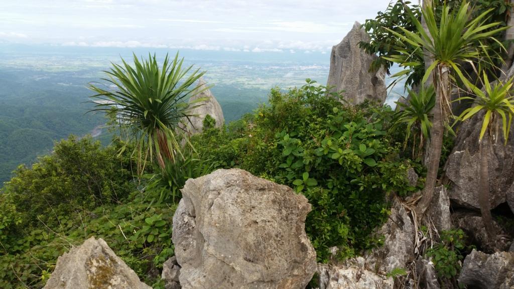 2017-07-07 08.53.12.jpg