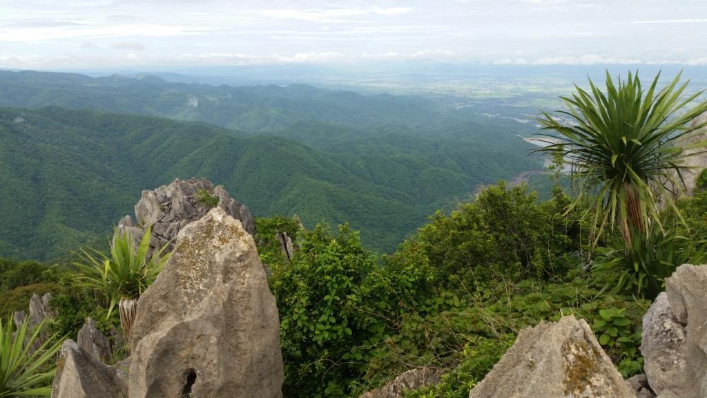 2017-07-07 08.53.16.jpg