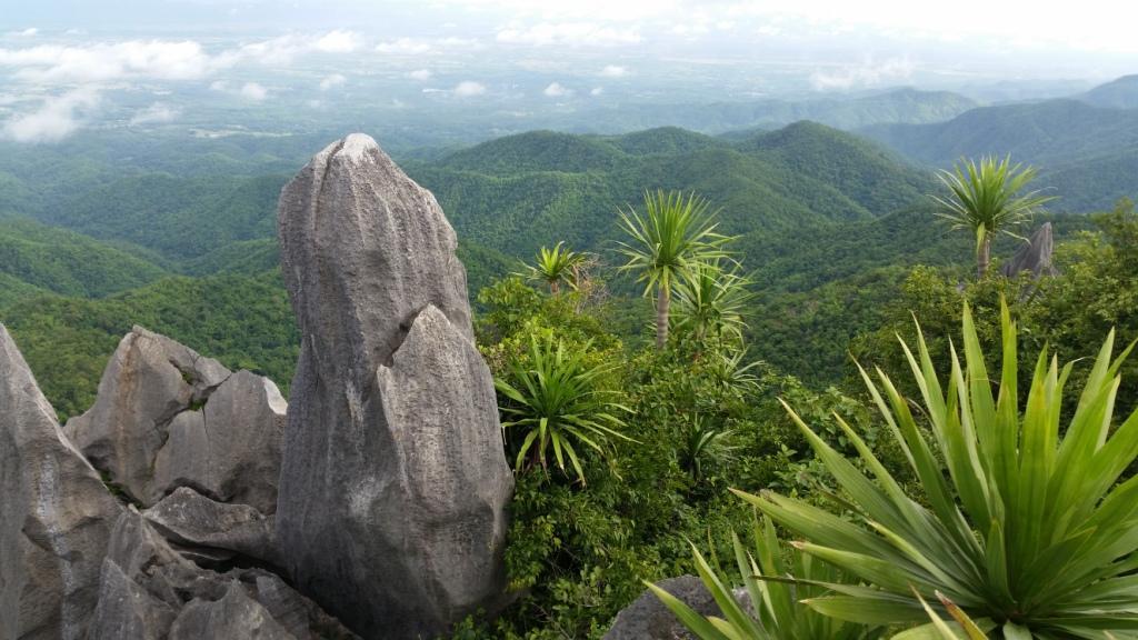 2017-07-07 08.54.55.jpg