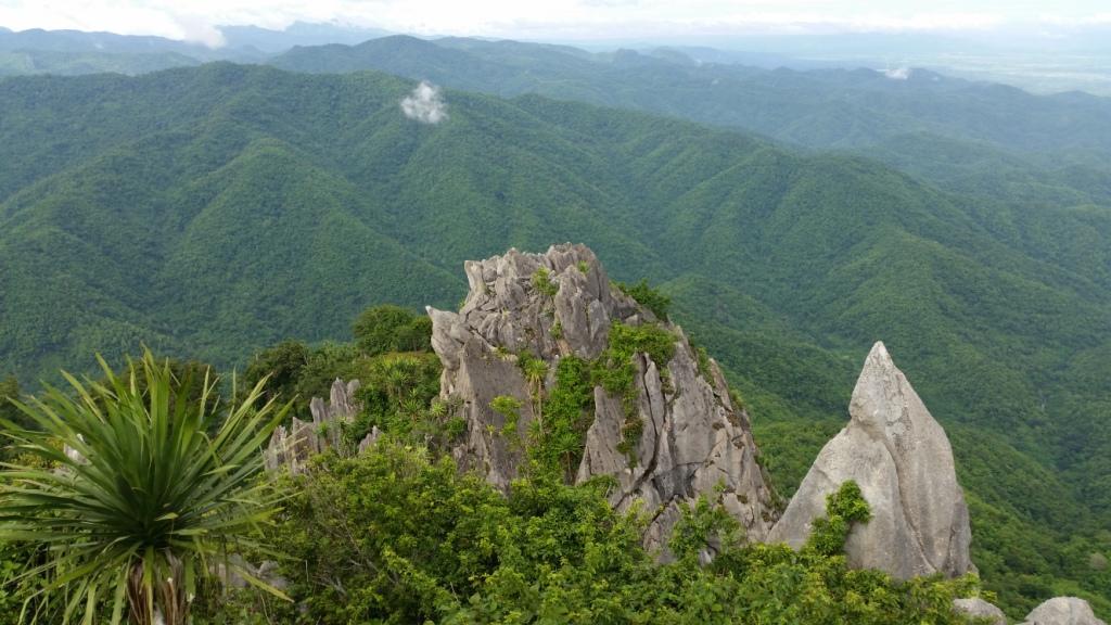 2017-07-07 08.55.34.jpg