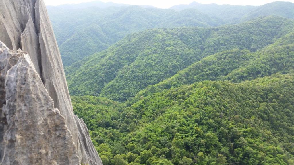 2017-07-07 09.05.01.jpg