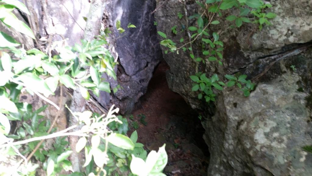 2017-07-07 09.12.13.jpg