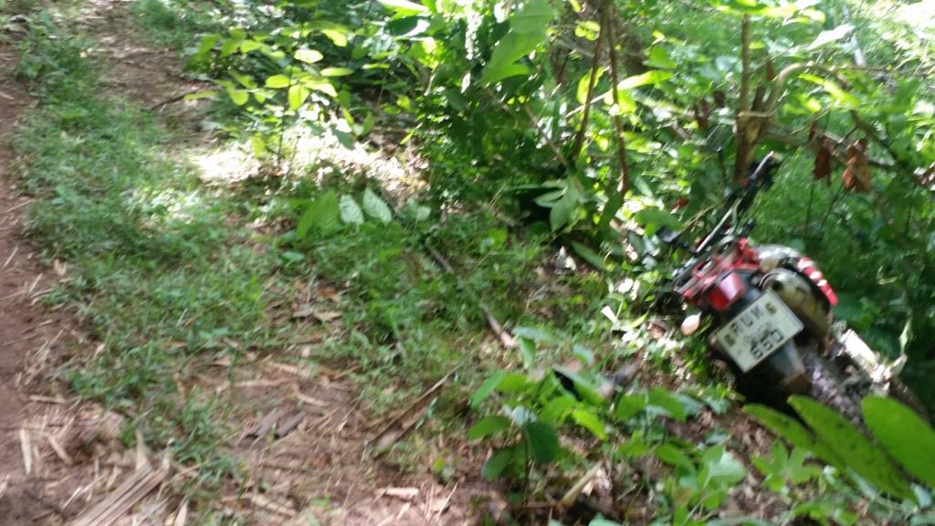 2017-07-07 10.10.44.jpg