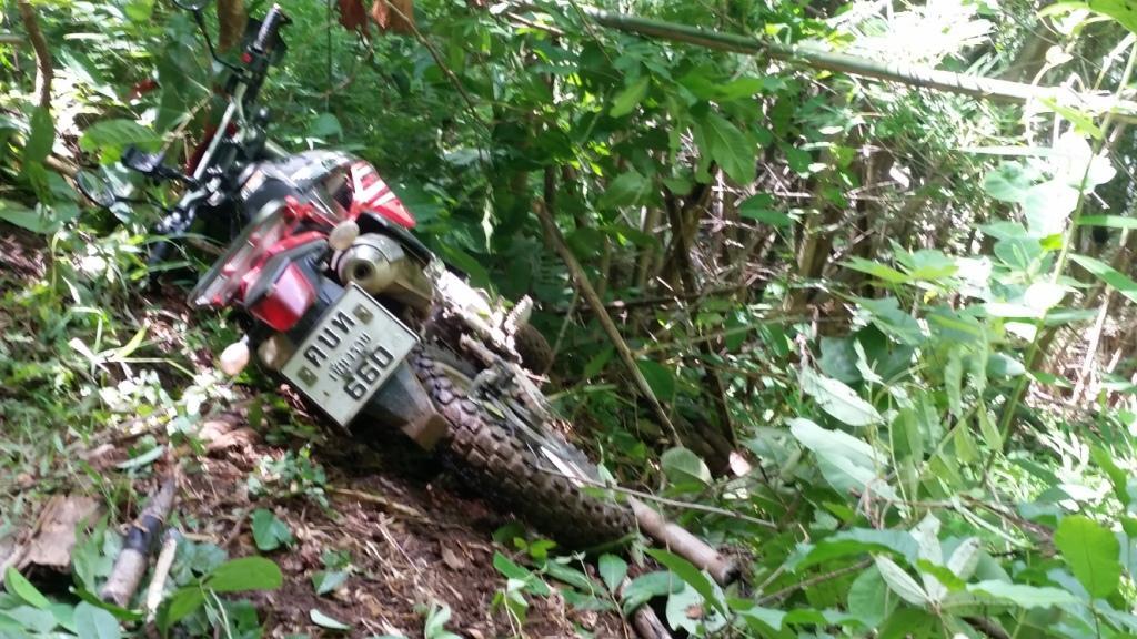 2017-07-07 10.10.50.jpg