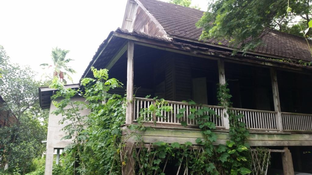 2017-07-08 07.58.33.jpg