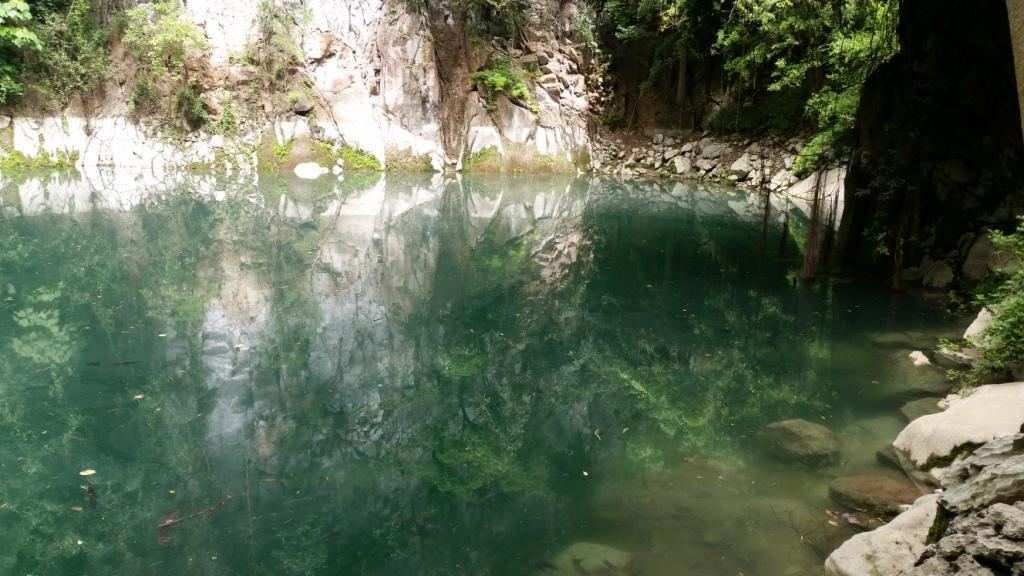 2017-07-08 10.39.30.jpg