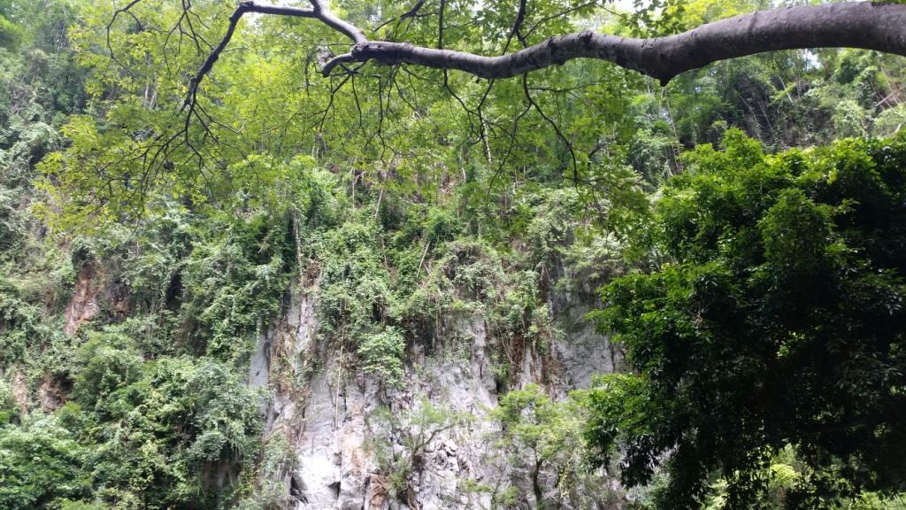 2017-07-08 10.40.41.jpg