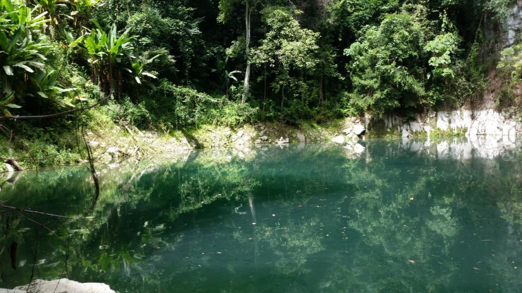 2017-07-08 10.50.27.jpg