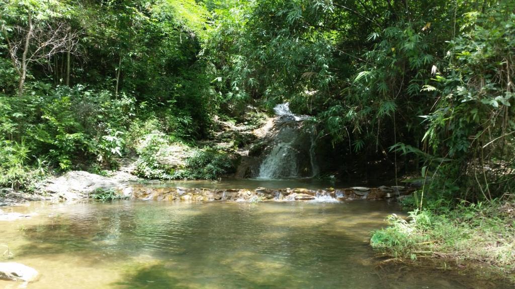 2017-07-08 11.19.02.jpg