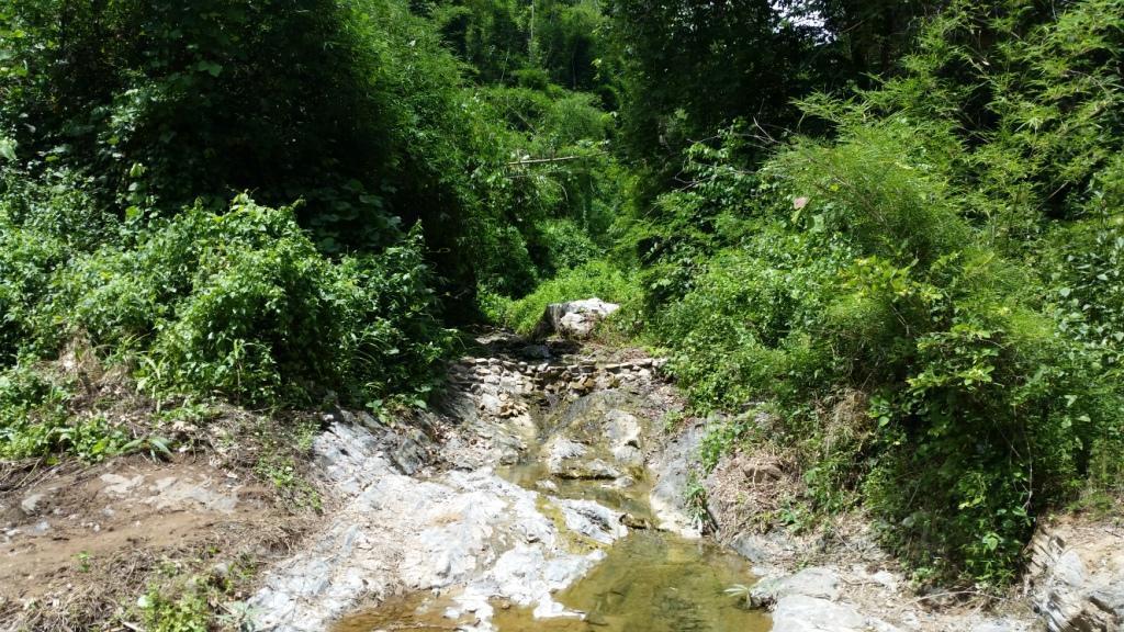 2017-07-08 11.19.06.jpg