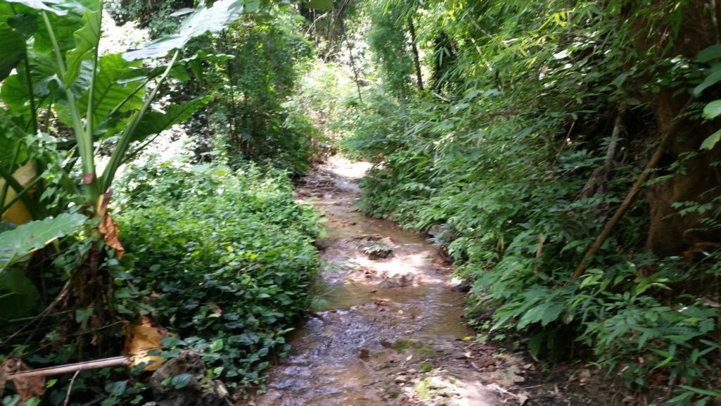 2017-07-08 11.21.26.jpg