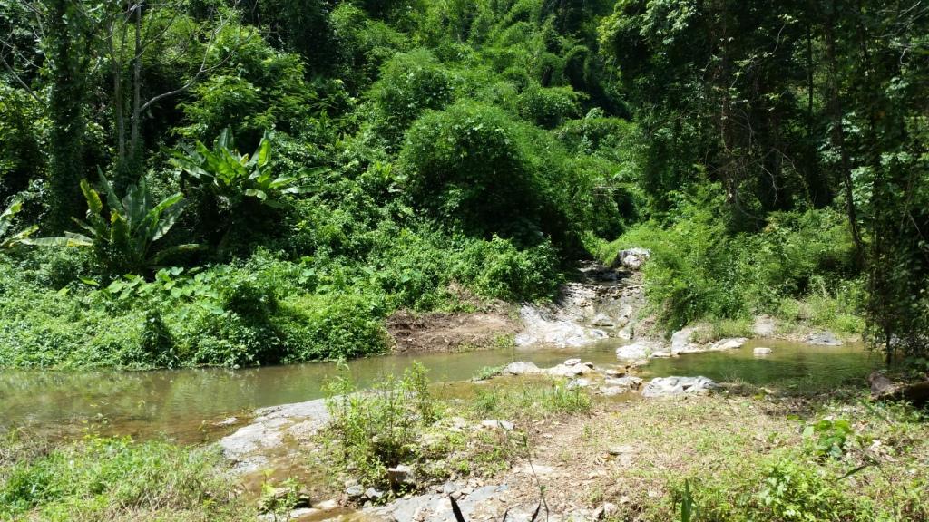 2017-07-08 11.23.05.jpg