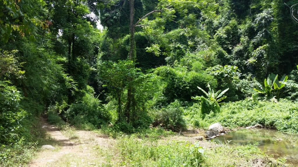 2017-07-08 11.23.11.jpg