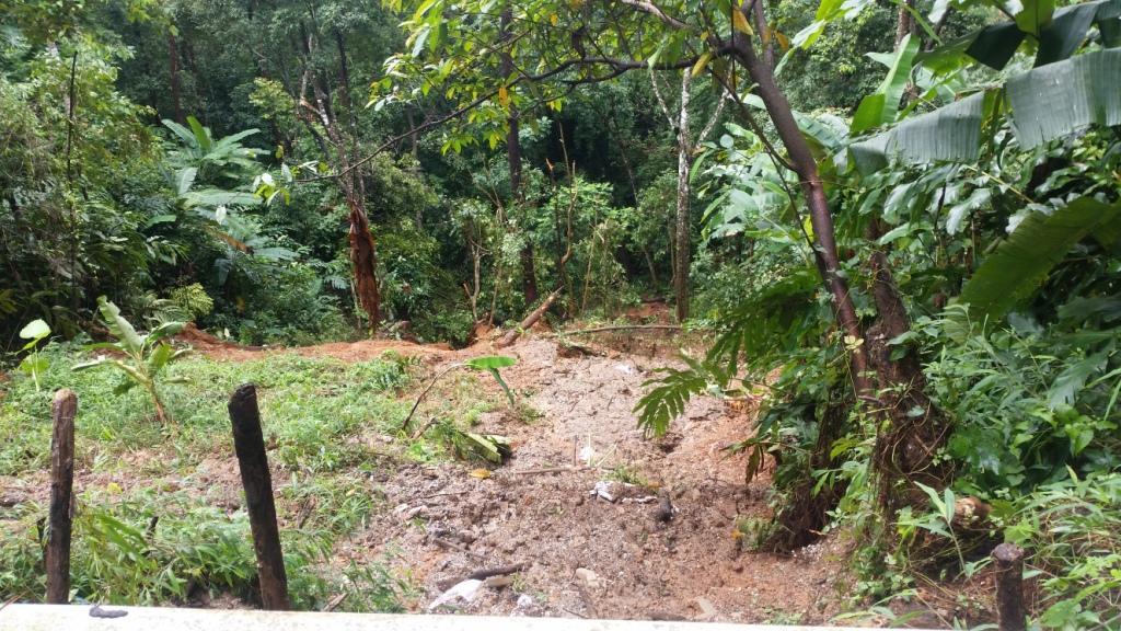 2017-07-23 11.05.30.jpg 2017-07-23 11.05.30.jpg