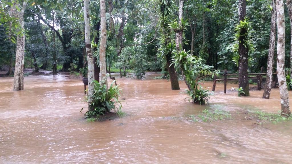 2017-07-23 13.15.06.jpg 2017-07-23 13.15.06.jpg