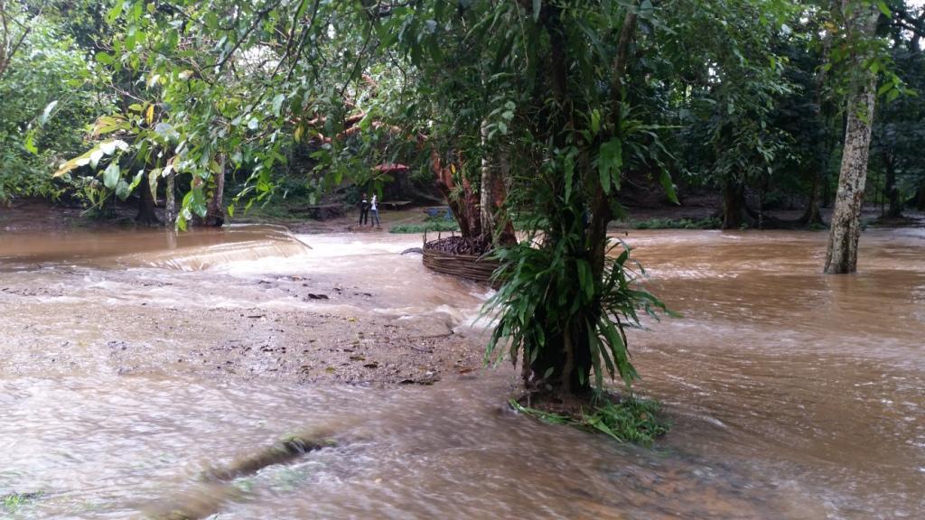 2017-07-23 13.15.11.jpg 2017-07-23 13.15.11.jpg