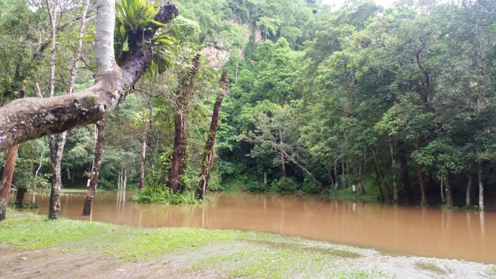 2017-07-23 13.15.33.jpg 2017-07-23 13.15.33.jpg