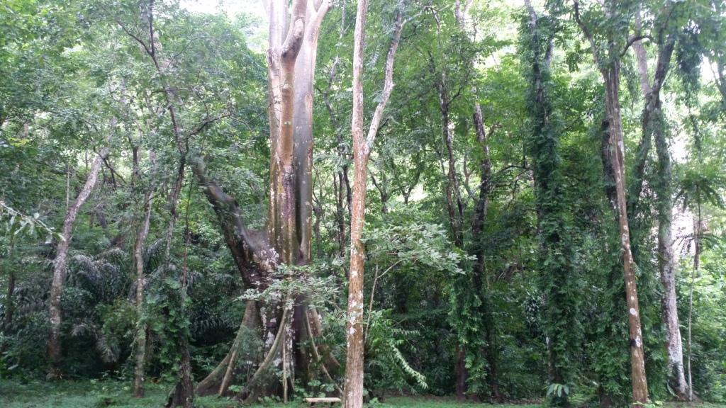 2017-07-23 13.20.35.jpg 2017-07-23 13.20.35.jpg