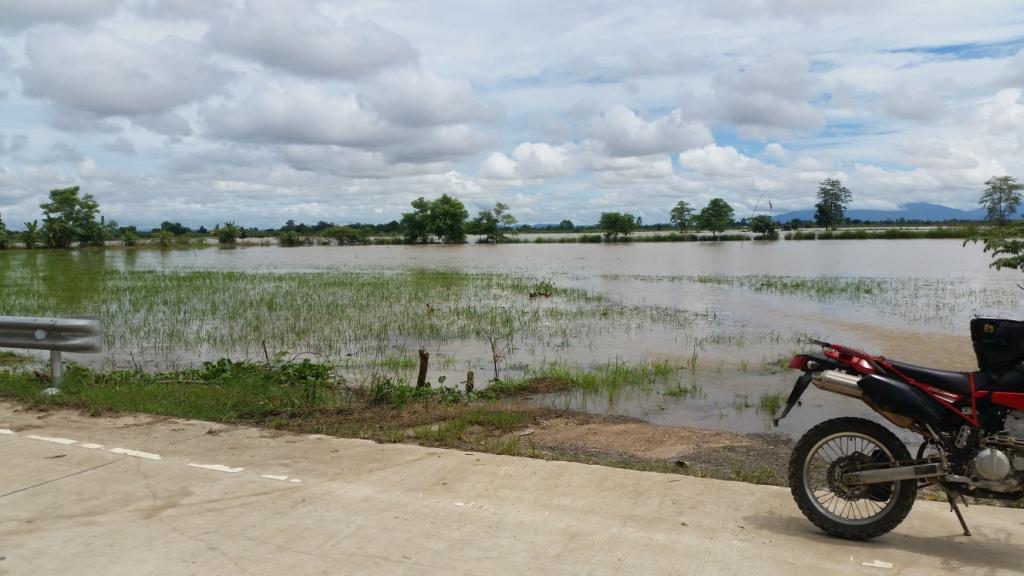 2017-07-23 13.38.17.jpg 2017-07-23 13.38.17.jpg