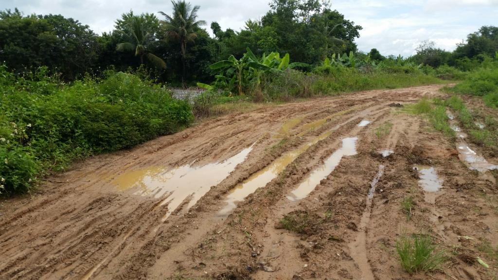 2017-08-07 12.11.01.jpg