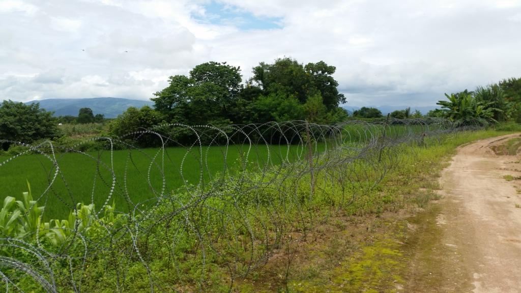 2017-08-07 12.16.06.jpg