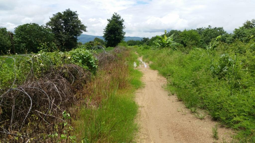 2017-08-07 12.21.51.jpg