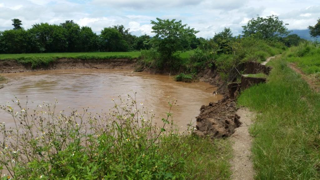 2017-08-07 12.24.30.jpg