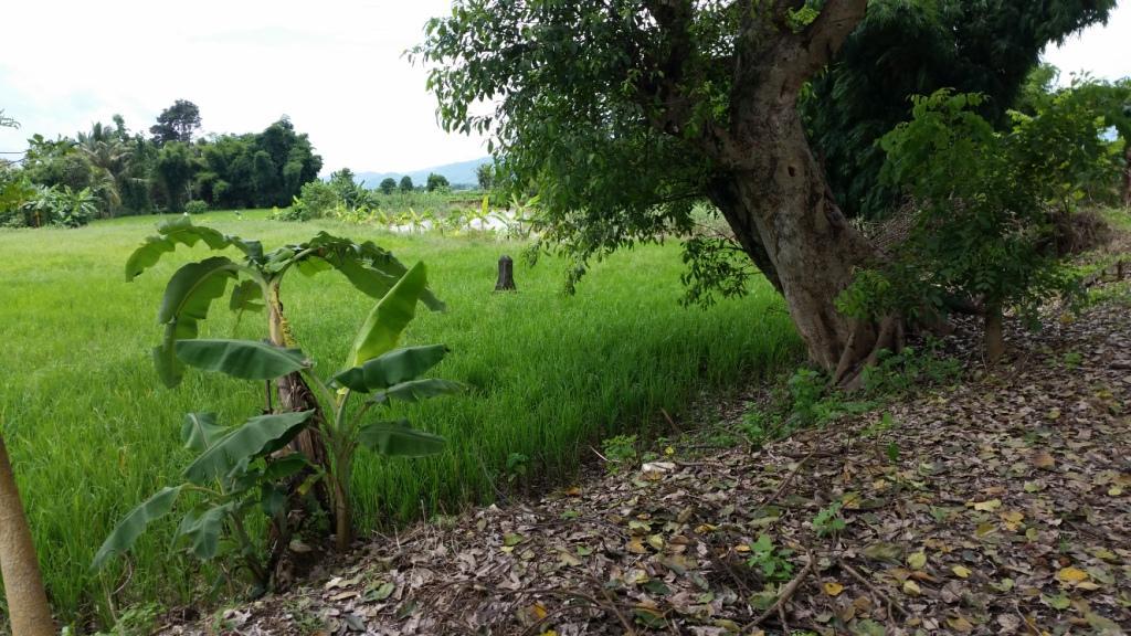 2017-08-07 12.34.32.jpg