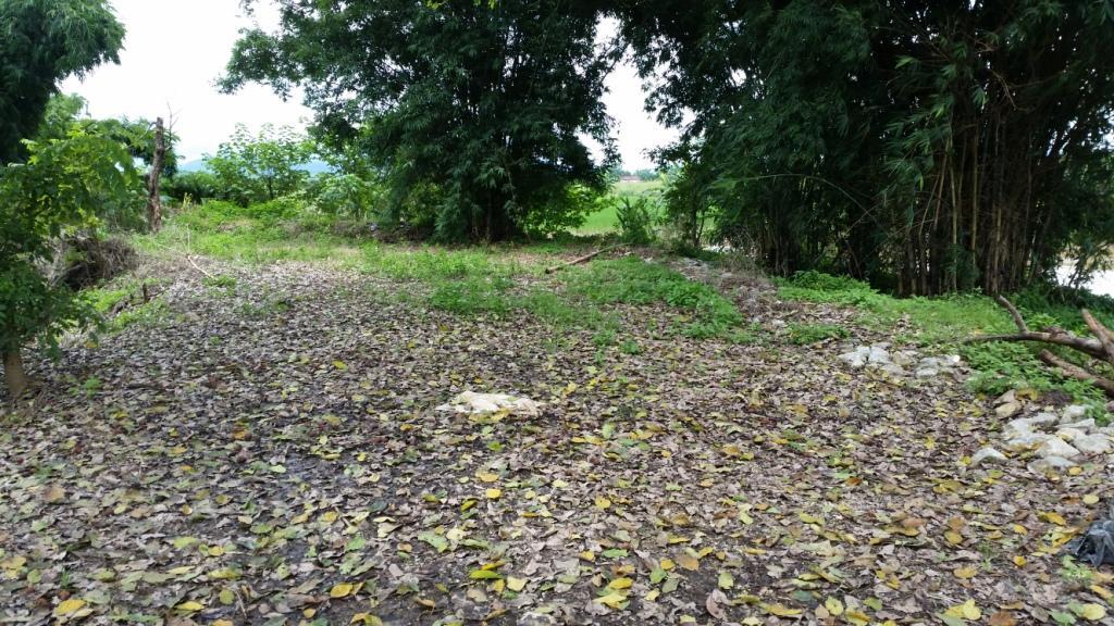 2017-08-07 12.34.34.jpg